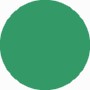 Verde Come Scegliere un Pavimento Verde per Palestre: Tipi, Materiali e Prezzi