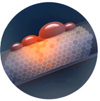 MOQUETTE BIO | Che non si macchia