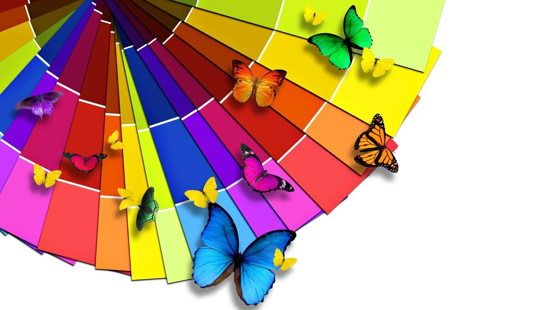 COLORI | Quali colori utilizzare per gli interni