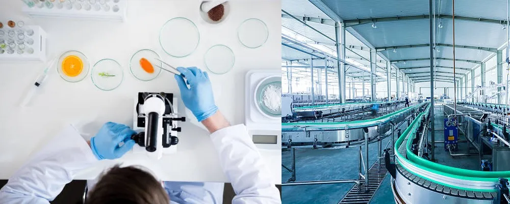 PAVIMENTI Per laboratori alimentari pavimenti a norma haccp piastrelle per laboratorio alimentare