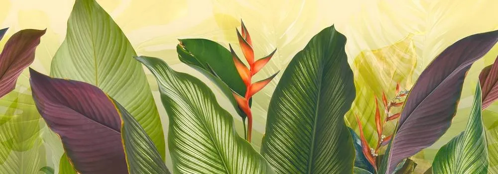 carta da parati con foglie tropicali carta da parati foglie tropicali carta parati foglie