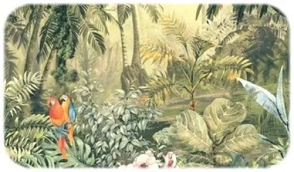 Catalogo carta da parati esotica tropicale - Nanni Giancarlo