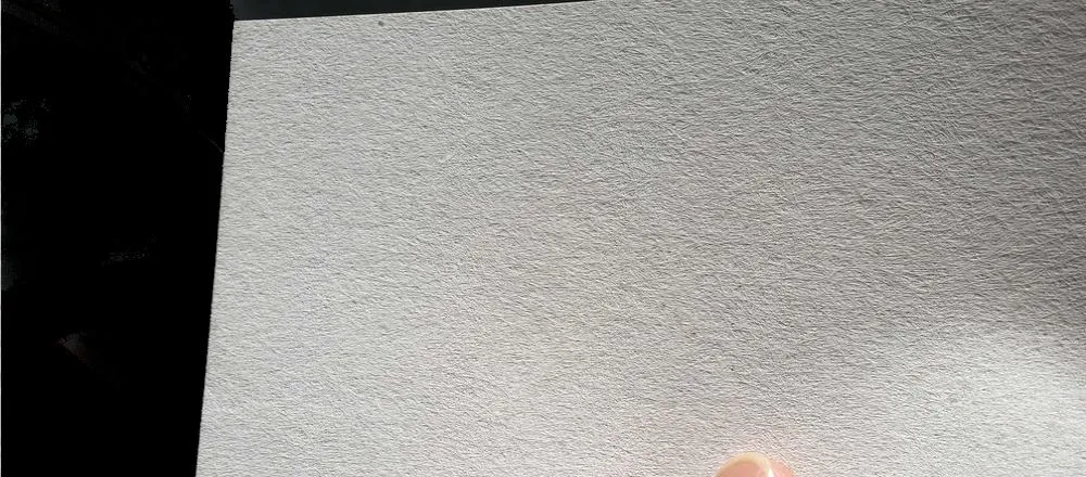 Esempio supporto Carta da parati in fibra di vetro Nanni Giancarlo