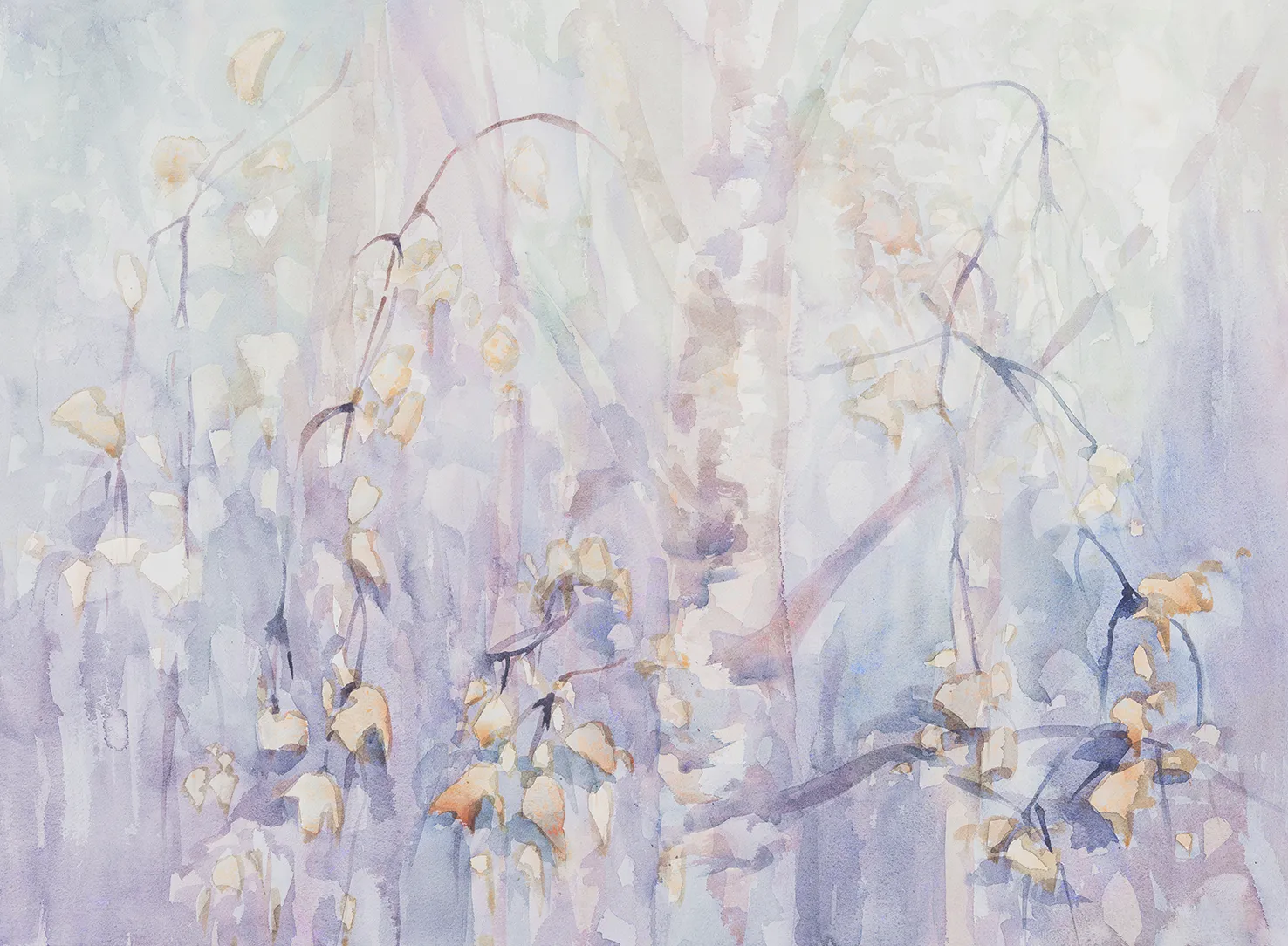 TB 350 | Carta da parati watercolor fiori - Colore 004 - Nanni Giancarlo