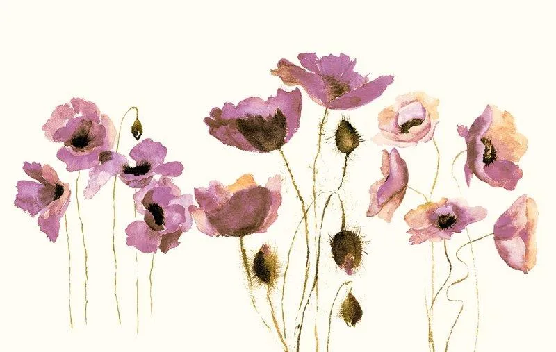 carte da parati bellissime - Nanni Giancarlo