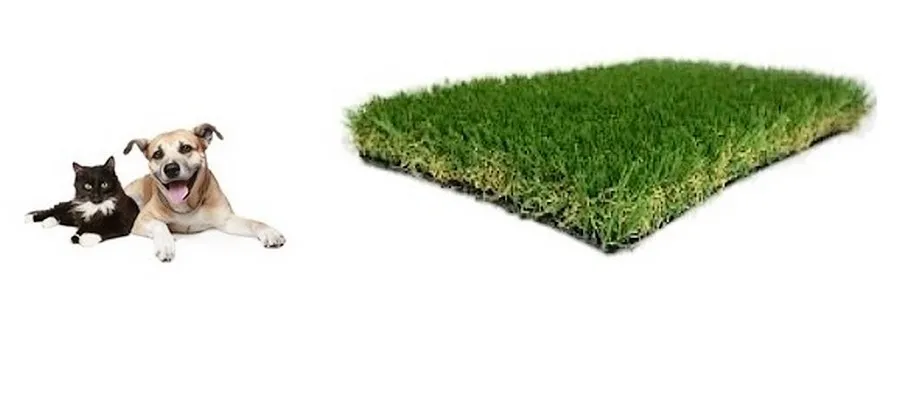 PRATO PETS DT |  Erba sintetica per cani e gatti e animali domestici
