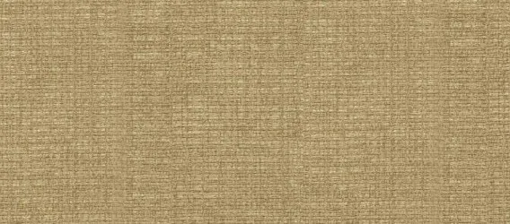 100E-TEND 738 | Carta parati paglia intrecciata