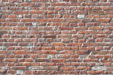 MURO MATTONI |  Carta da parati finto mattone - Var. 504