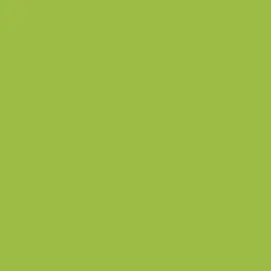 Pavinil BF70 Monocromo 5723-570 Verde