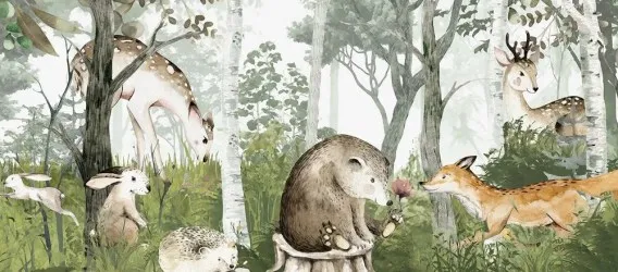 BABY FIABE NEL BOSCO | Carta da parati bosco per camerette