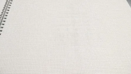 CARTA DA PARATI VERNICIABILE | ER-163011 rotoli da 53 cm. x 10 mt.