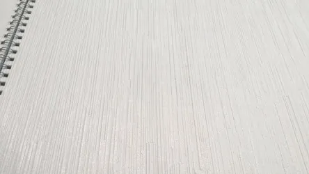 CARTA DA PARATI VERNICIABILE | ER-163013 rotoli da 53 cm. x 10 mt.