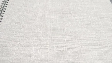 CARTA DA PARATI VERNICIABILE | ER-163015 rotoli da 53 cm. x 10 mt.