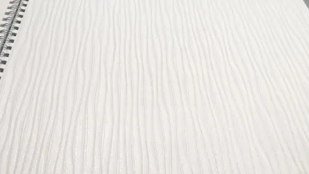 CARTA DA PARATI VERNICIABILE | ER-163021 rotoli da 53 cm. x 10 mt.