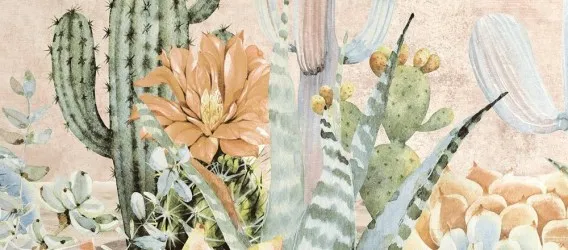 CACTUS | Carta da parati con cactus