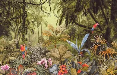 ESOTICA TROPICALE | Carta da parati - Var 31