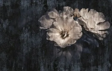 FLOWER - MILADY  | Carta da parati con grandi fiori - Colore 1