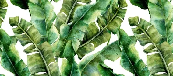 VERDE ESOTICO | Carta da parati con foglie di banano