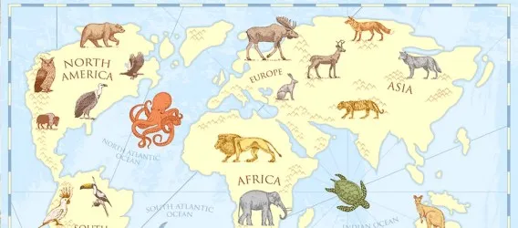 BLUE WORLD MAP | Carta da parati mappamondo