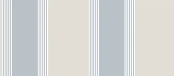 THE STRIP |  Carte da parati righe