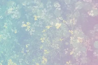 CONCETTO NATURA | Carta da parati a fiori colori sfumati - Col. 950