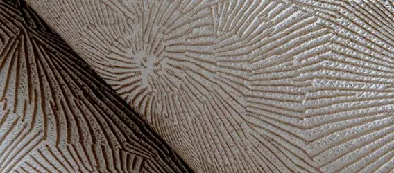 TEX 320 | Carta da parati materia con fiori stilizzati