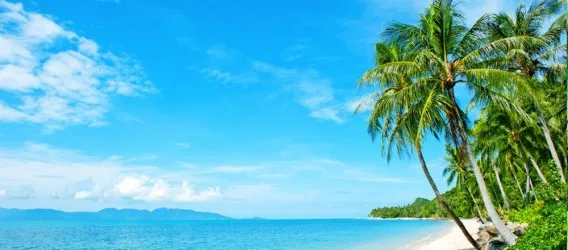 SPIAGGIA TROPICALE | Carta da parati mare caraibico