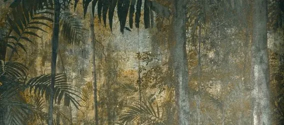 Carta da parati foresta alberi
