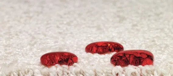 BIO PAT LC2 |  Moquette Bio Antimacchia