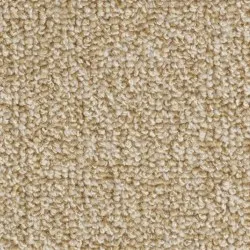 MOQUETTE C.DECO | Colore N648 