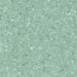 PAVIMENTO PVC FORTE |  2 mm. omogeneo R9