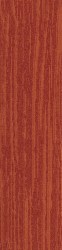 MOQUETTE LISTONE JUNGLE | Colore 450