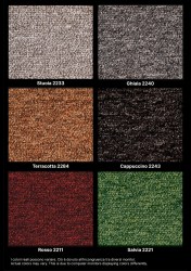 R-GOS | Moquette riccio 100% PA - Cartella 2