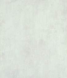 ELE 273 | Carta da parati materica effetto muro - Col.14